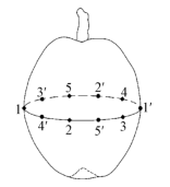 1628236041109343.png 4.png